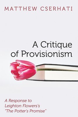 bokomslag A Critique of Provisionism