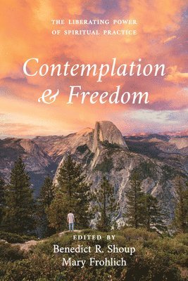 bokomslag Contemplation and Freedom