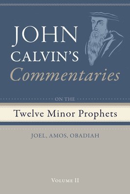 bokomslag Commentaries on the Twelve Minor Prophets, Volume 2