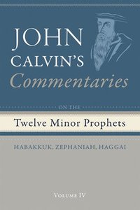 bokomslag Commentaries on the Twelve Minor Prophets, Volume 4