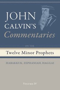 bokomslag Commentaries on the Twelve Minor Prophets, Volume 4
