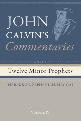 bokomslag Commentaries on the Twelve Minor Prophets, Volume 4