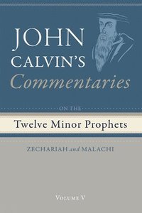 bokomslag Commentaries on the Twelve Minor Prophets, Volume 5