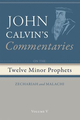 bokomslag Commentaries on the Twelve Minor Prophets, Volume 5