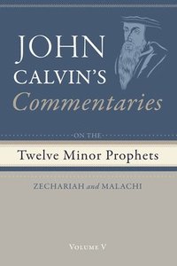 bokomslag Commentaries on the Twelve Minor Prophets, Volume 5