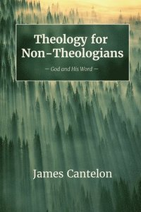 bokomslag Theology for Non-Theologians