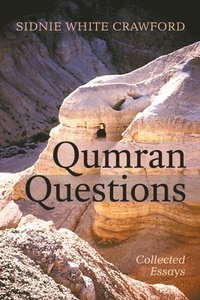 bokomslag Qumran Questions