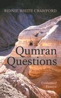 bokomslag Qumran Questions