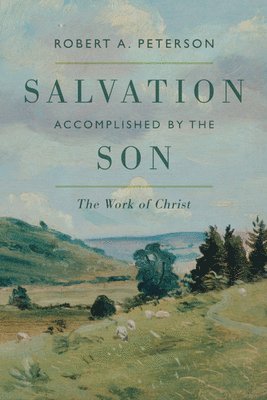 bokomslag Salvation Accomplished by the Son