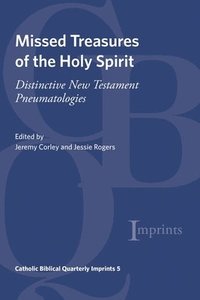 bokomslag Missed Treasures of the Holy Spirit