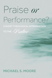 bokomslag Praise or Performance?