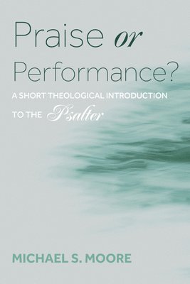 bokomslag Praise or Performance?