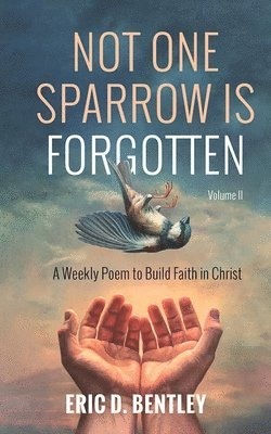 bokomslag Not One Sparrow is Forgotten, Volume II