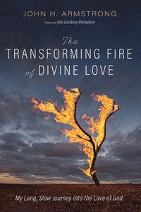 bokomslag Transforming Fire of Divine Love