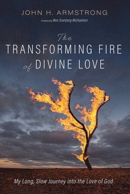 bokomslag Transforming Fire of Divine Love