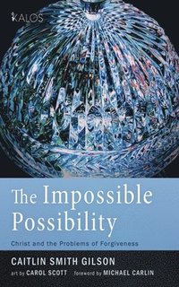 bokomslag Impossible Possibility