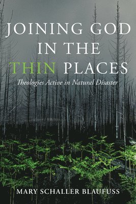 Joining God in the Thin Places