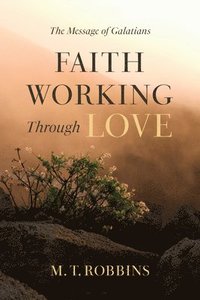 bokomslag Faith Working Through Love: The Message of Galatians