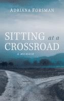 bokomslag Sitting at a Crossroad