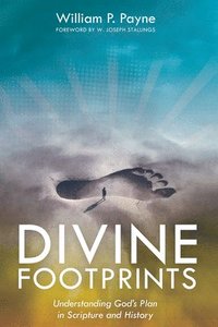 bokomslag Divine Footprints