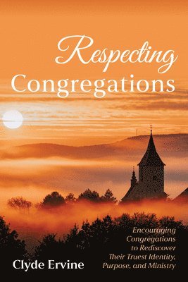 bokomslag Respecting Congregations: Encouraging Congregations to Rediscover Their Truest Identity, Purpose, and Ministry