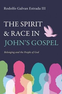 bokomslag Spirit and Race in John's Gospel