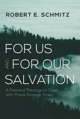 bokomslag For Us and for Our Salvation