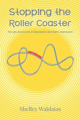 bokomslag Stopping the Roller Coaster