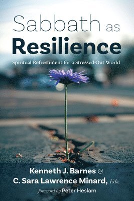 bokomslag Sabbath as Resilience