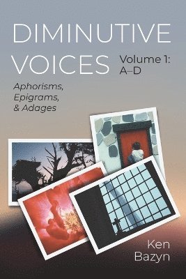 bokomslag Diminutive Voices, Volume 1