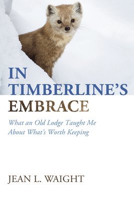 bokomslag In Timberline's Embrace