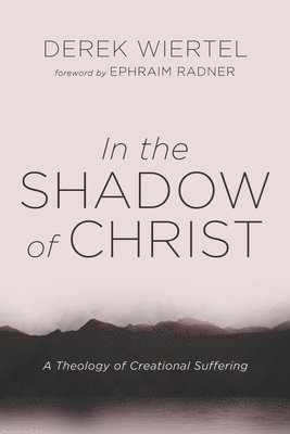 bokomslag In the Shadow of Christ