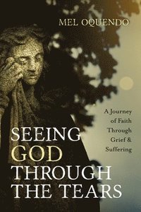 bokomslag Seeing God Through the Tears