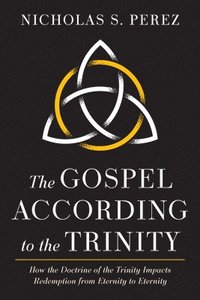 bokomslag Gospel According to the Trinity