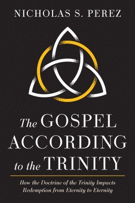 bokomslag Gospel According to the Trinity