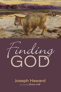 bokomslag Finding God