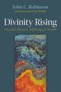 bokomslag Divinity Rising: Beyond Illusion, Suffering, and Death