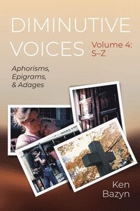 bokomslag Diminutive Voices, Volume 4