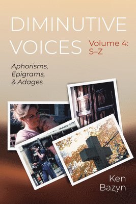bokomslag Diminutive Voices, Volume 4: S-Z