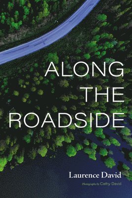 Laurence David - Along the Roadside, Häftad
