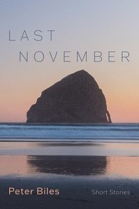 bokomslag Last November