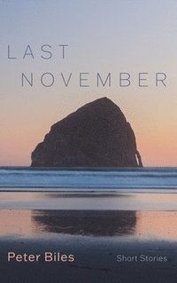 bokomslag Last November