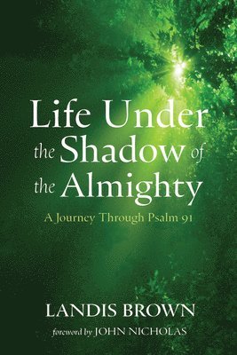 bokomslag Life Under the Shadow of the Almighty