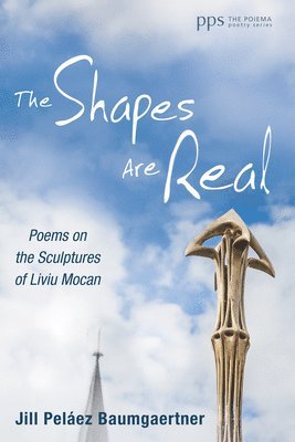 Jill Peláez Baumgaertner, Jill Pel ez Baumgaertner - Shapes Are Real, Inbunden