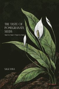 bokomslag Taste of Pomegranate Seeds