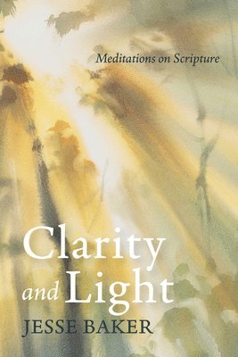 bokomslag Clarity and Light: Meditations on Scripture