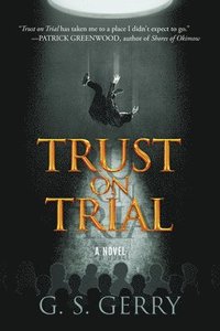 bokomslag Trust on Trial