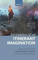 bokomslag Adventures of an Itinerant Imagination