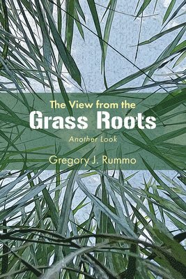 View from the Grass Roots