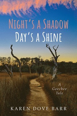 bokomslag Night's a Shadow; Day's a Shine